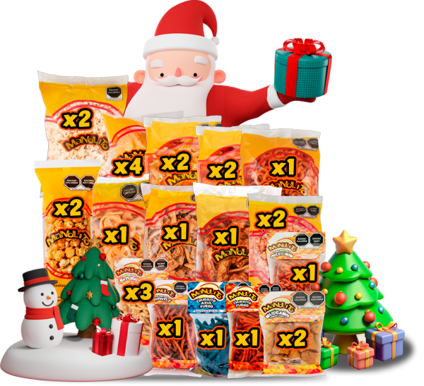 PAQUETE NAVIDEÑO 2